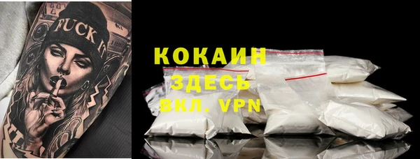 дживик Арсеньев