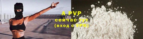 дживик Арсеньев